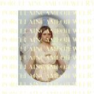 SOARING WHITE ANGEL UNSET PORCELAIN CAMEO CAB