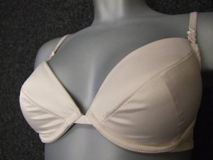 34c Gossard ivory Satin Superboost padded Plunge Bra new with original tags