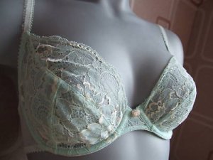 30d charnos mint & cream lace underwired bra BNWOT