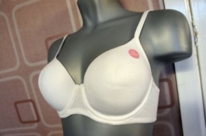 34d ex m&s white cotton t shirt padded underwire bra BN