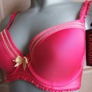 38dd gossard hot pink padded underwired plunge bra BNWT