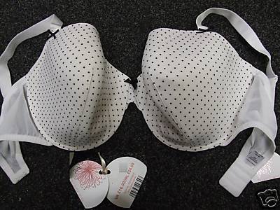 40d ex stores white polka dot push up padded bra BNWT