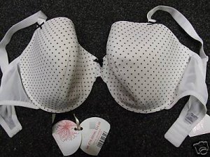 40d ex stores white polka dot push up padded  bra BNWT