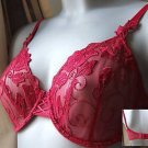 32c ballet red lace mystique embroidery bra  bnwot