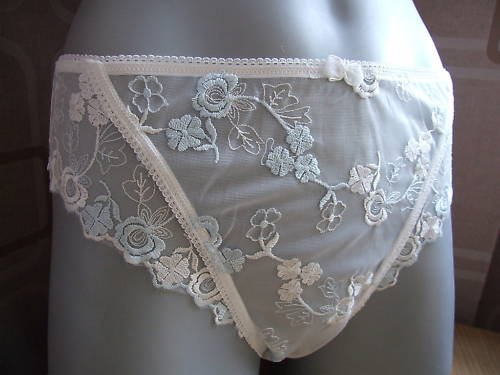 size 10 ivory blue floral lace catalogue knickers brief
