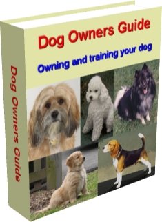 A DOG OWNERS GUIDE