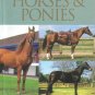A Pocket Guide To Horses and Ponies by Corinne Clark Illustrated Juvenile Literature SC Book