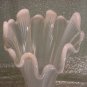 Opalescent Carnival Pulled Looped Lily Ribbed Vase