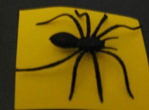 Black Spider Tie Tac Pins  for back to School Halloween Fun