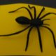 Spider Tie Tac Pins