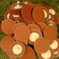 100p 2 " ROLL LOCK SANDING DISC 120 Grit MADE IN USA Heavy Duty Aluminum Oxide
