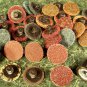35pc 1" ROLL LOCK SANDING DISC KIT Assortment with HOLDER roloc