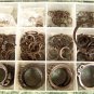 300pc SNAP RING ASSORTMENT New with case