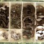 300pc E CLIP ASSORTMENT New