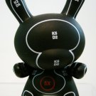 Dunny 2009  Shane Jessup