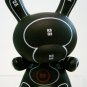 Dunny 2009  Shane Jessup