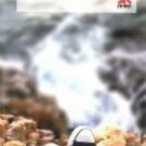 La Jaula  - isbn 9781934801390