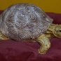 Collectable Heavy Resin Hand Painted Turtle Figurine FREE SHIP