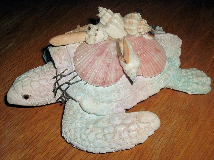 Sparkly turtle covered with sea shells 8