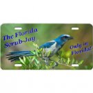 Design B - Florida Scrub-Jay Front Plate