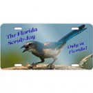 Design A - Florida Scrub-Jay Front Plate