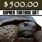 $500 Donation - Scrub-Jay Trail  (Gopher Tortoise Gift)