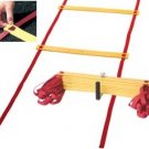RUNNING SPEED TRAINING FITNESS AGILITY LADDER BAG 30 FT