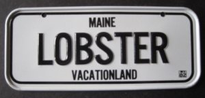 1982 POST CEREAL BOX BICYCLE STATE LICENSE PLATE MAINE