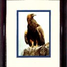 Bateman's Golden Eagle #A454