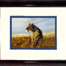 Bateman's lioness #A463