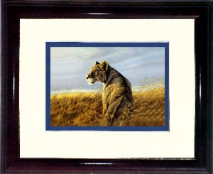 Bateman's lioness #A463