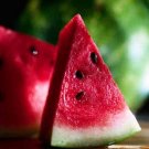 **Watermelon** Bath Salts **On Backorder**