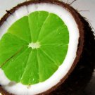 **Coconut Lime** Bath Salts **On Backorder**