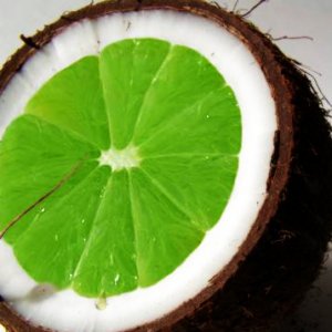 **Coconut Lime** Bath Salts **On Backorder**