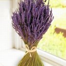 **Lavender** Bath Salts