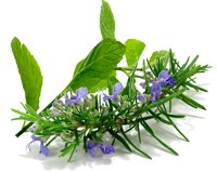 **Rosemary Mint** Bath Salts