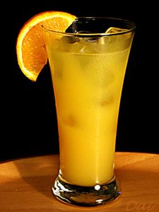 **Fuzzy Navel** Soy Candle **On Backorder**