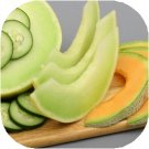 **Cucumber Melon** Soy Candle **On Backorder**