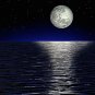 **Moonlight Path** Soy Candle