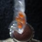 haunted ring king solomon powers gain wealth money power riches custom spell casting