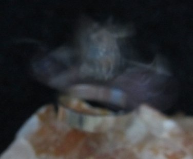 Ring Talisman spell kit ritual haunted irresistible to women woman female get