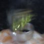 protection from evil EYE black magic spells letter B haunted kit ring sz 11 1/2