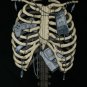 FSD Boy's Size 4 SKELETON Hoodie Zipper Costume Jacket, Halloween