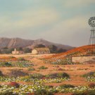 Original Oil Painting - South African Artist - Namaquland