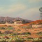Original Oil Painting - South African Artist - Namaquland