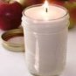 3 of our 16 ounce soy candles.