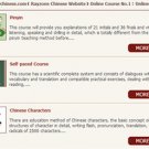Raychinese Online Basic Chinese Course(Pinyin, Chinese Characters, Self-paced Course)