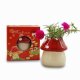 Flowers & Gifts