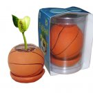 Basketball plants;Ceramic basketball; Toy basketball(GF-BP-B)