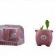 Piggy Plants